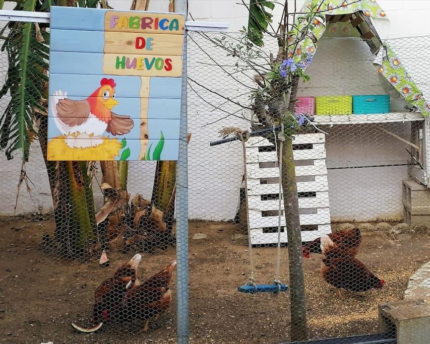 Chiclana El Principito Villa Chiclana de la Frontera Eksteriør bilde